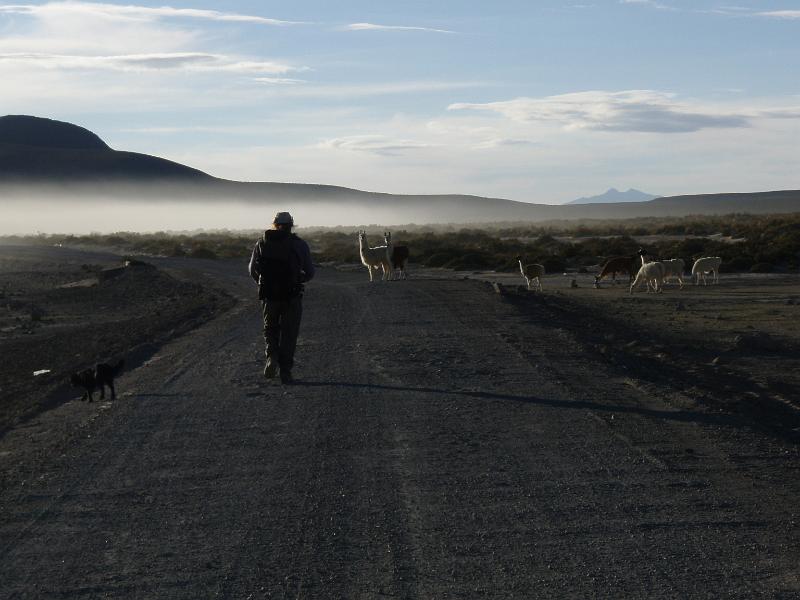 Coipasa Salt Flats (6).JPG